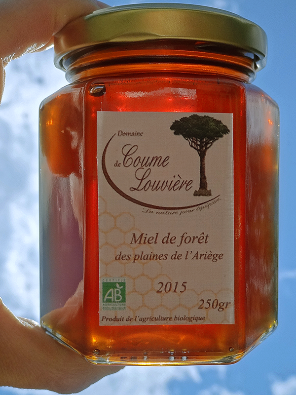 Miel de Forêt BIO des plaines de l'Ariège en pot de 250g