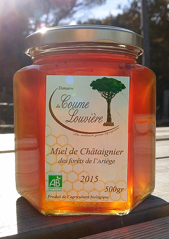 Miel de Châtaignier Bio des forêt de l'Ariège en pot de 500g