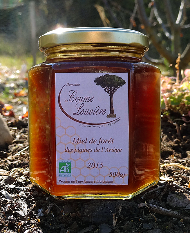Miel de Forêt BIO des plaines de l'Ariège en pot de 500g
