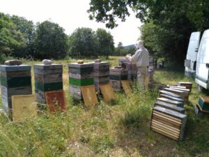 Première récolte de miel bio du Domaine de Coume Louvière